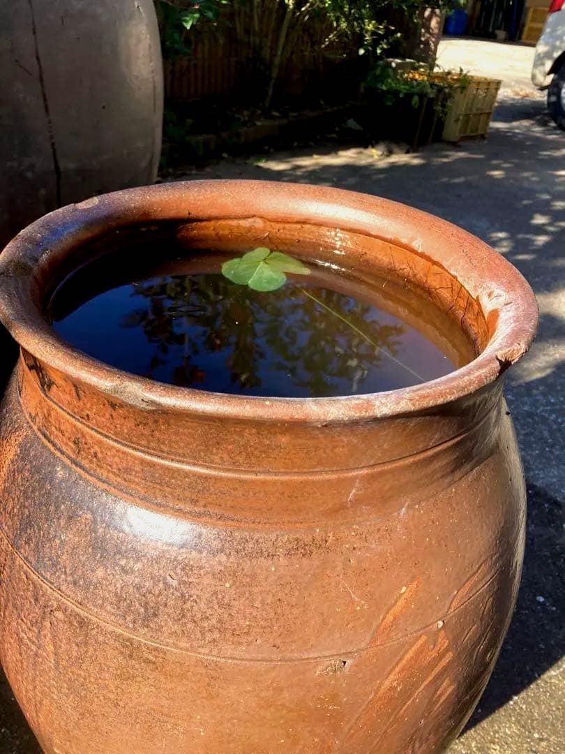 味わい深い 古い 大きな 陶器の甕 (かめ) 壺植木鉢 メダカ鉢 和風51センチ