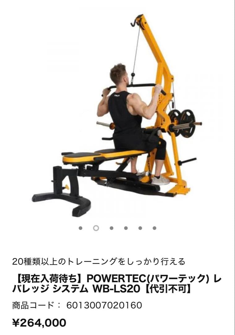 POWERTEC WB-LS20 レバレッジシステム　引き取り限定