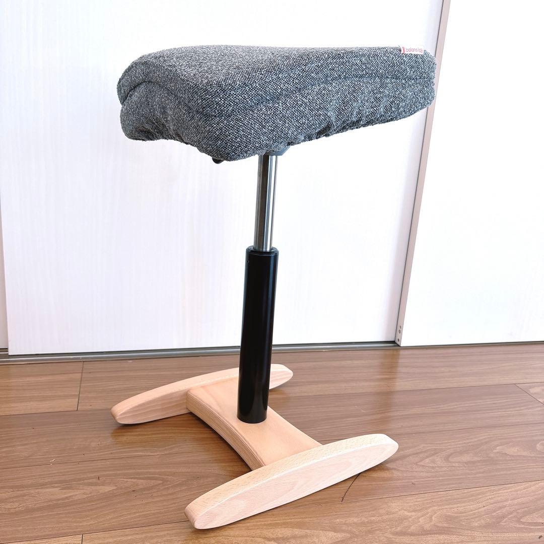 【極美品】balans Synergy バランスシナジー 正規品 姿勢矯正チェア