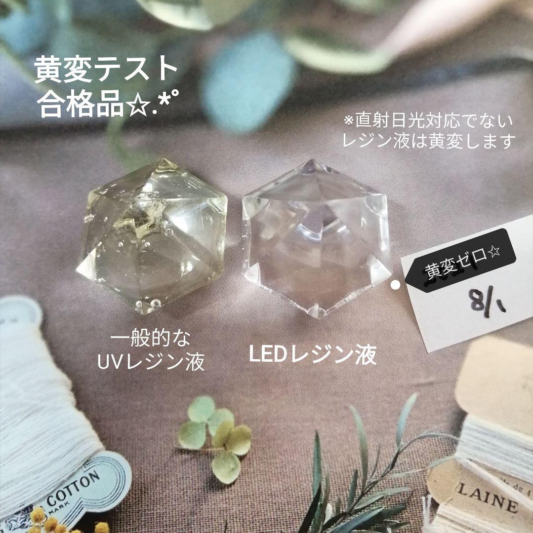 たぁ✩.*˚ フルール20 本、コーティング剤つき✩.*˚