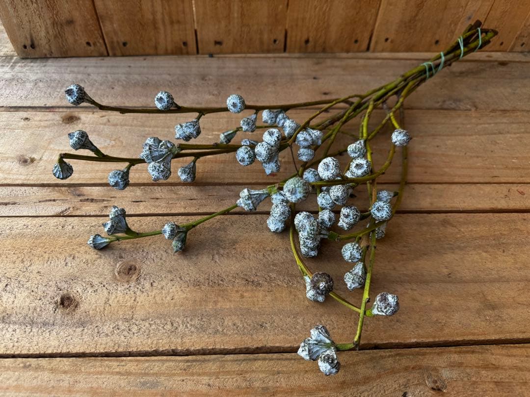 り様 リクエスト 2点 まとめ商品