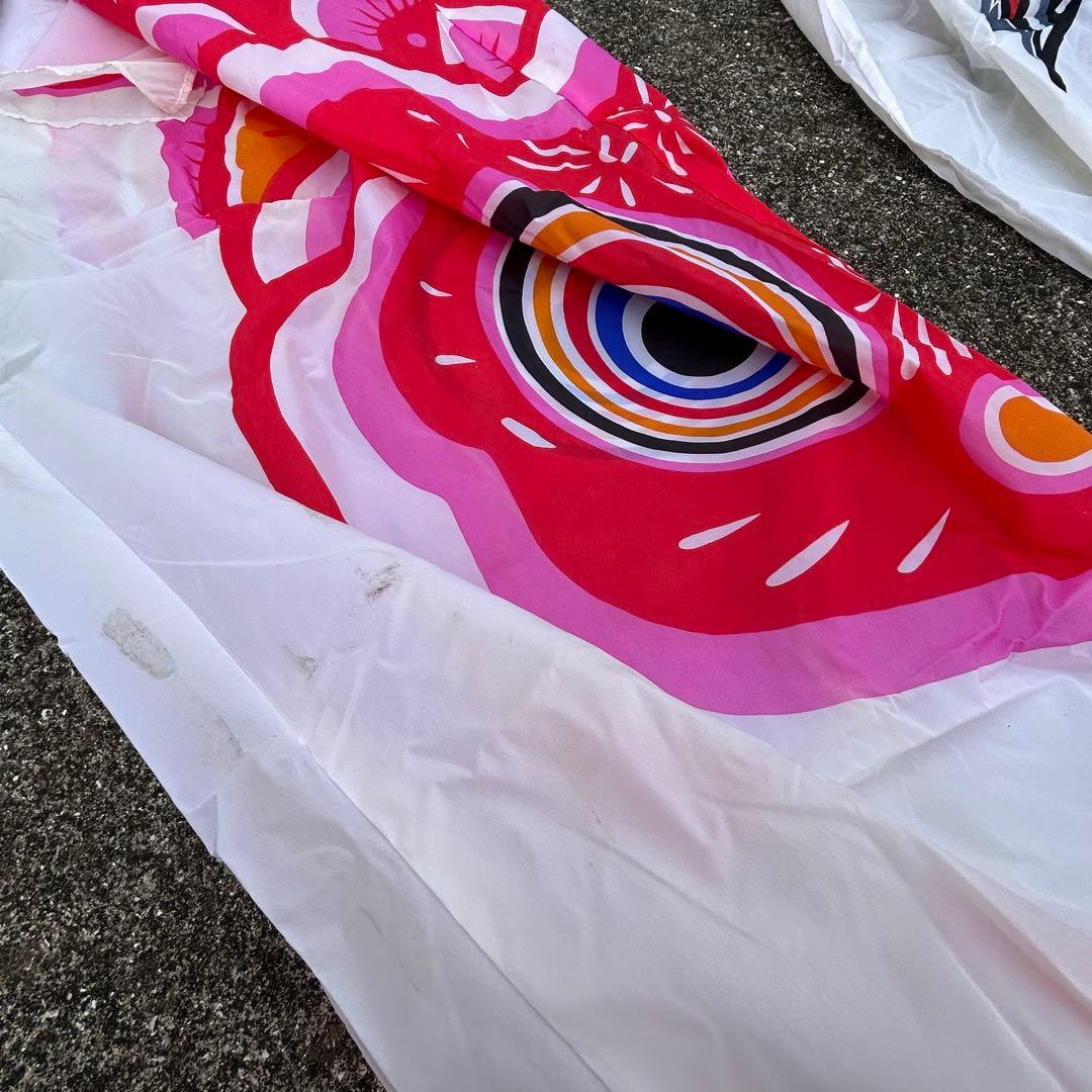 鯉のぼり 5枚セット 五月 子供の日