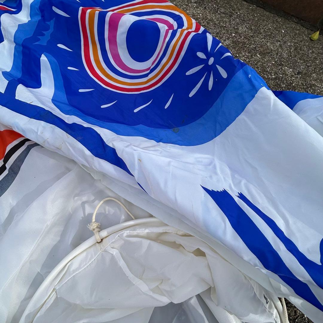 鯉のぼり 5枚セット 五月 子供の日