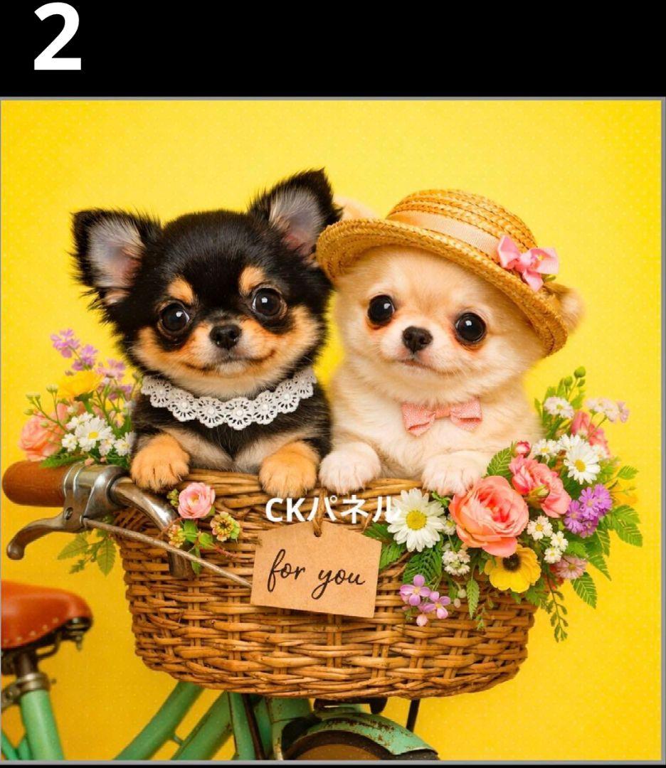 オーダーページ　ハンカチ　367 自転車ワンコ柄　1/19　ハンドメイド