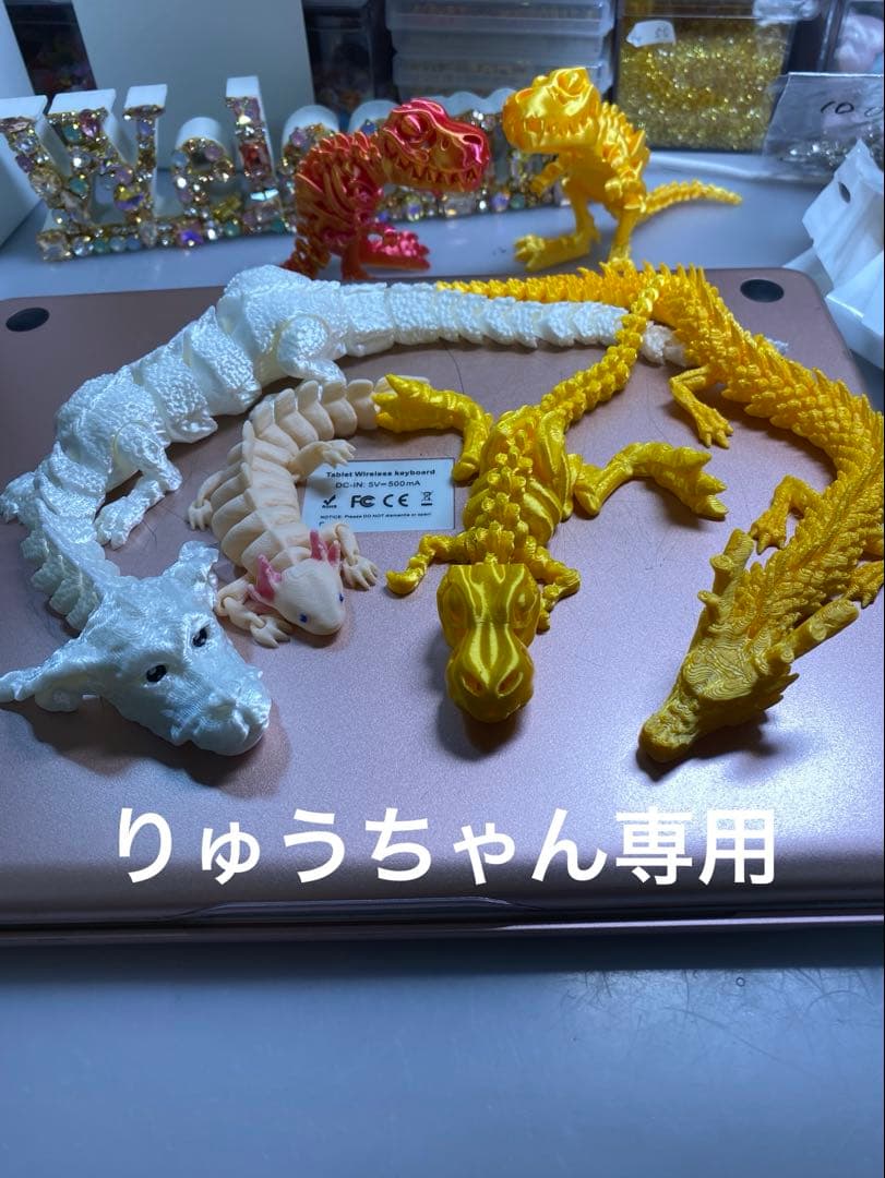 りゅうちゃん専用