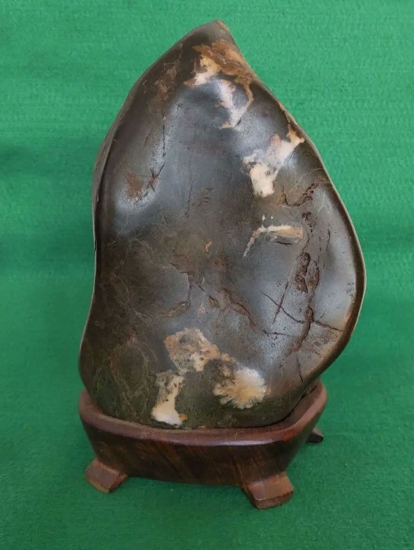 菊花石　化石　石　置物