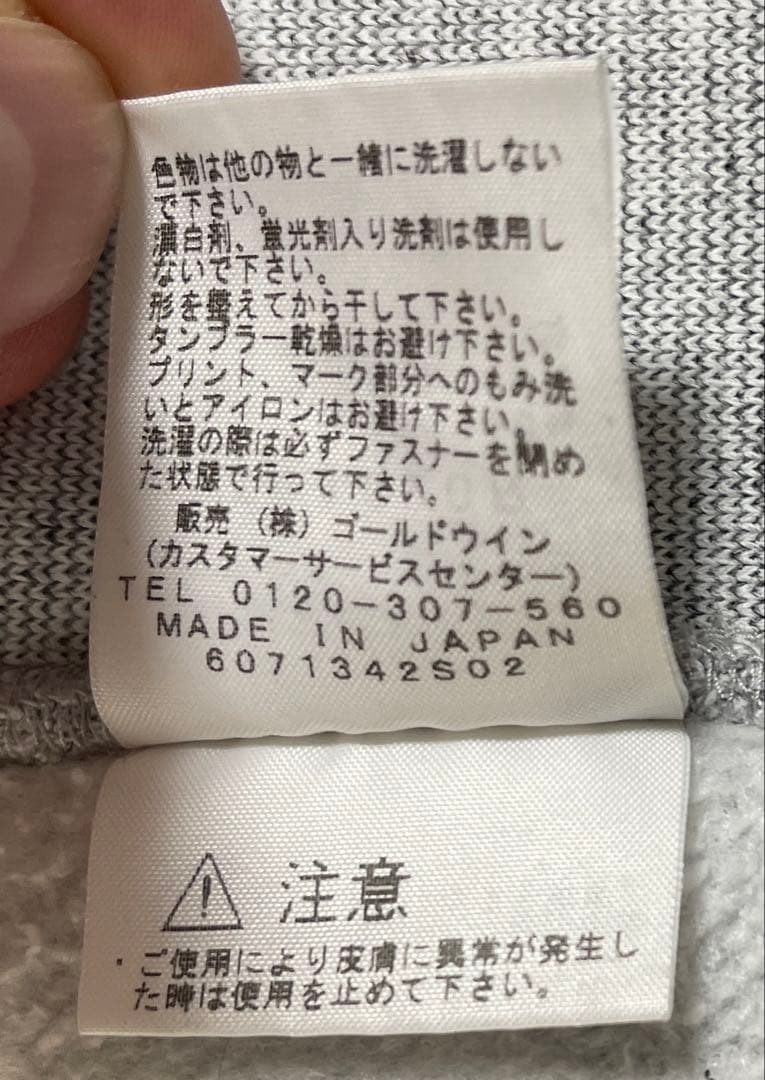 THE NORTH FACE GRAVITY パーカー グレー