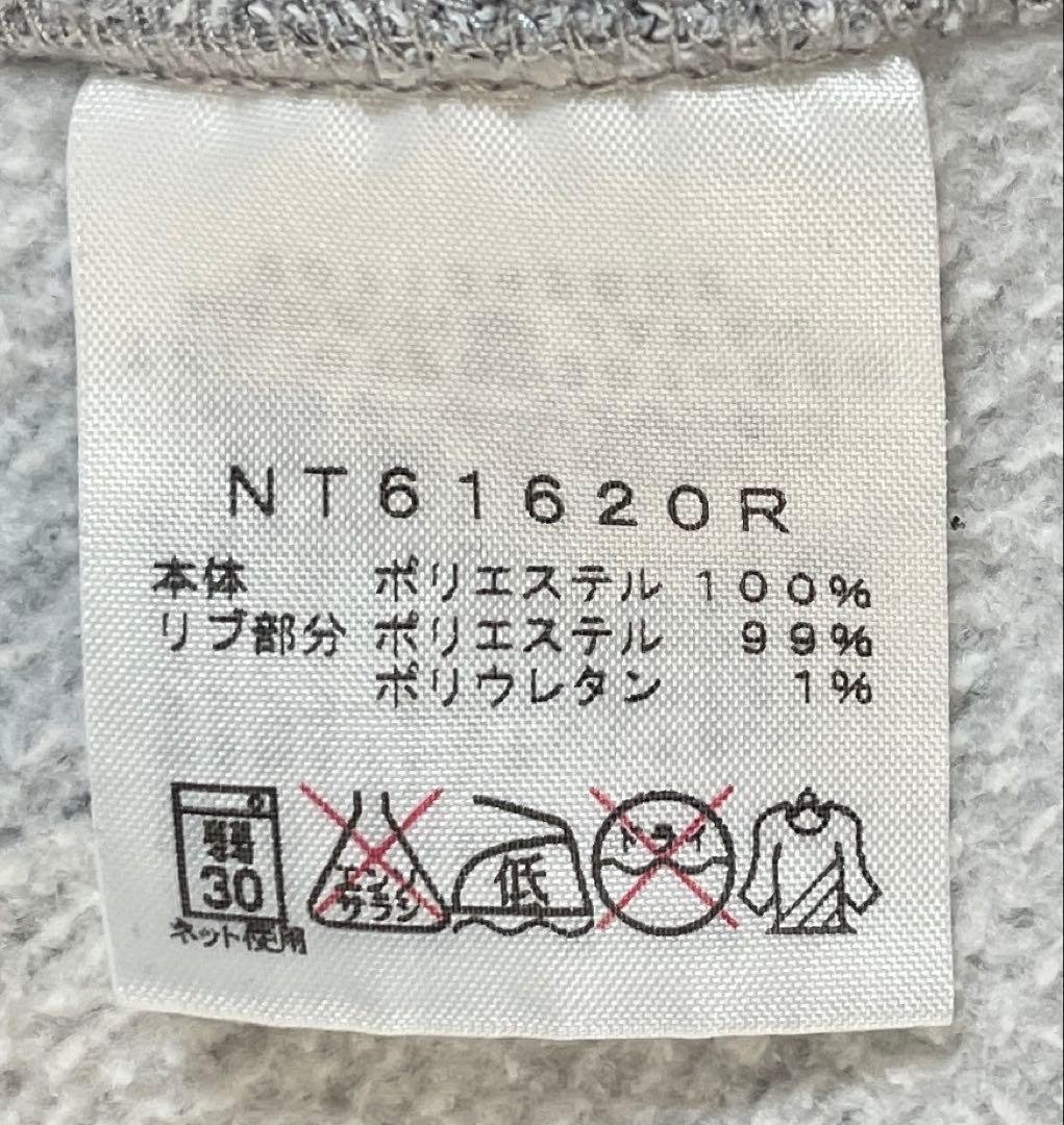 THE NORTH FACE GRAVITY パーカー グレー