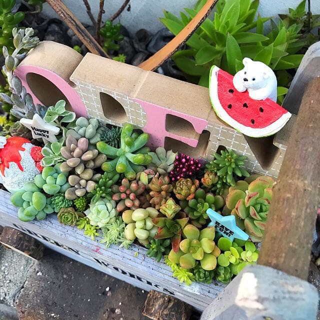 ★多肉植物　寄せ植え〜手作り木製カート寄せ〜★