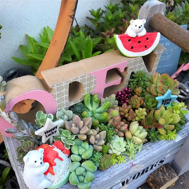 ★多肉植物　寄せ植え〜手作り木製カート寄せ〜★