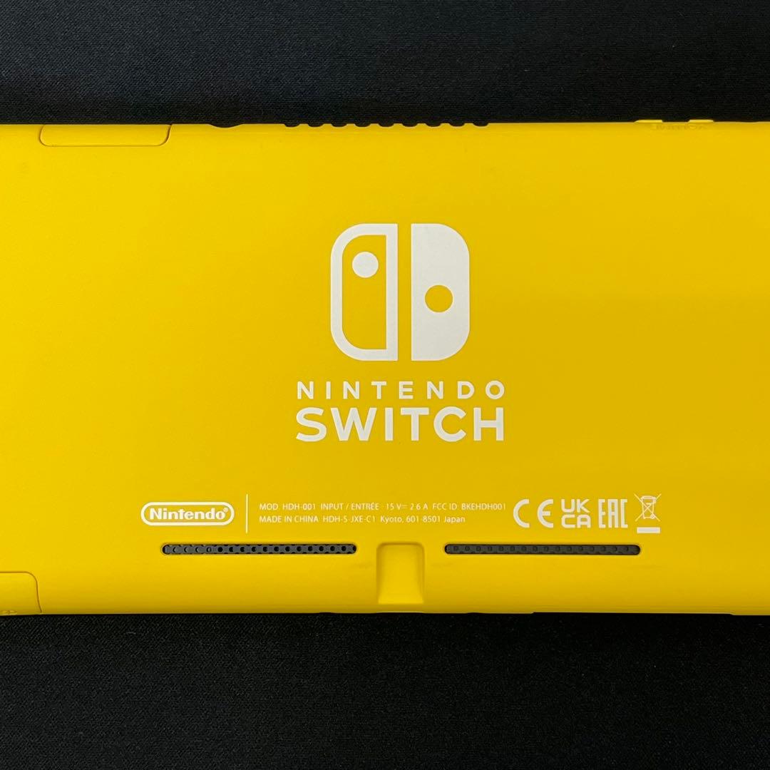 【基本動作確認済み】Nintendo Switch Lite　充電アダプタ付き