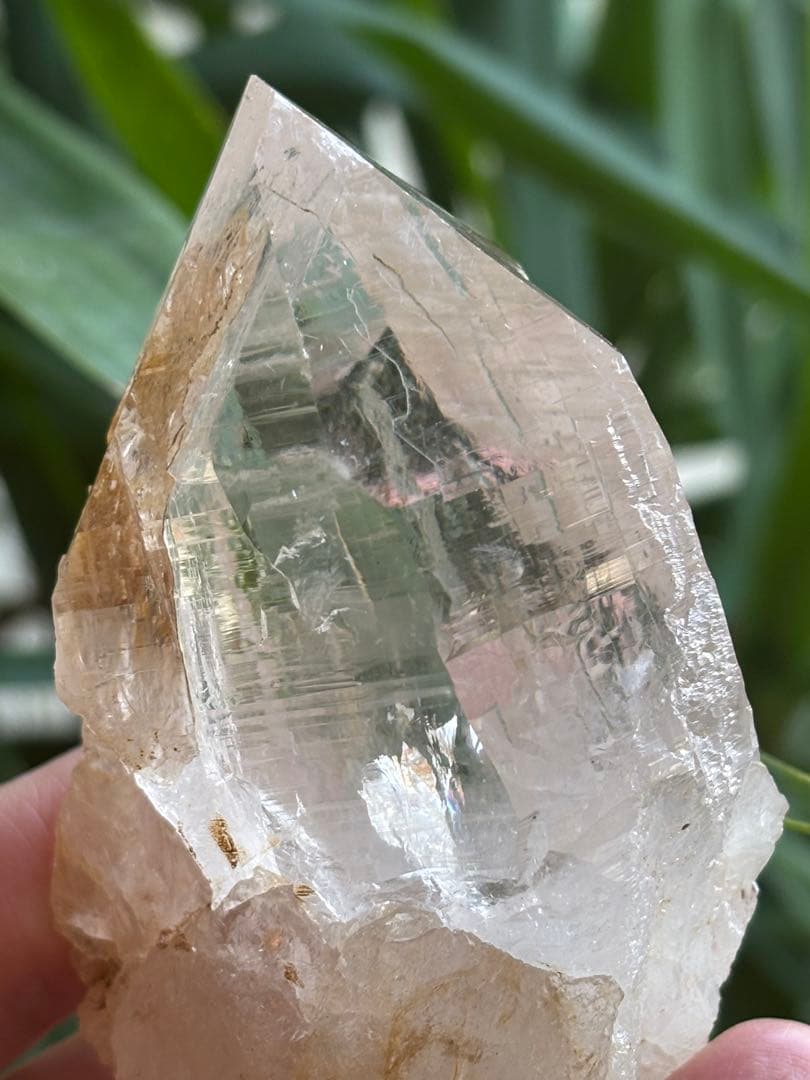 パキスタン　ハシュピ産　ヒマラヤクォーツポイント　ヒマラヤ水晶268g