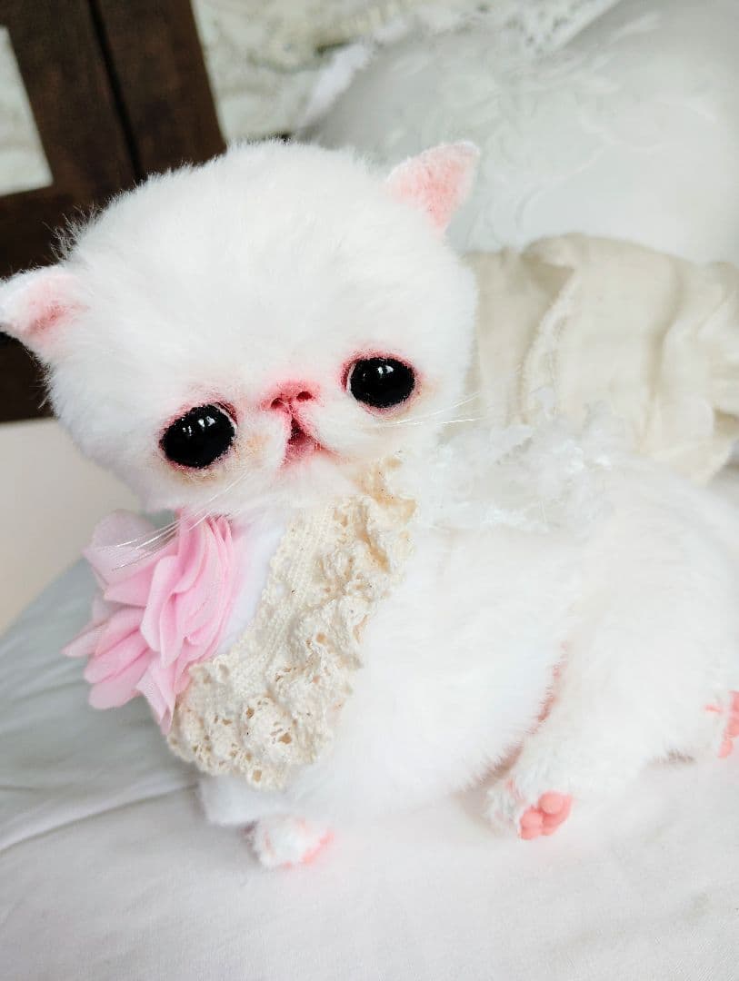 まるまるオメメ♡エキゾチック子猫ちゃん♡アートドール♡ぬいぐるみ♡