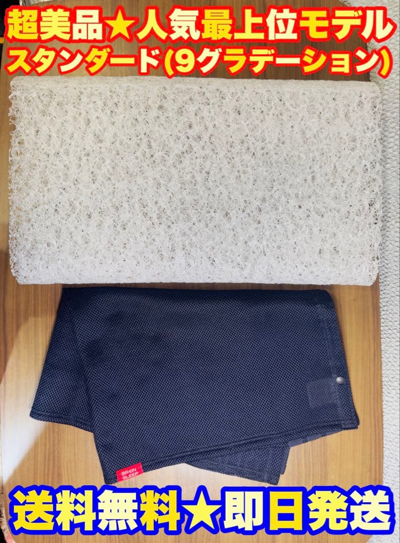 定価3.3万】BRAIN SLEEP PILLOW ブレインスリープ ピロー 枕