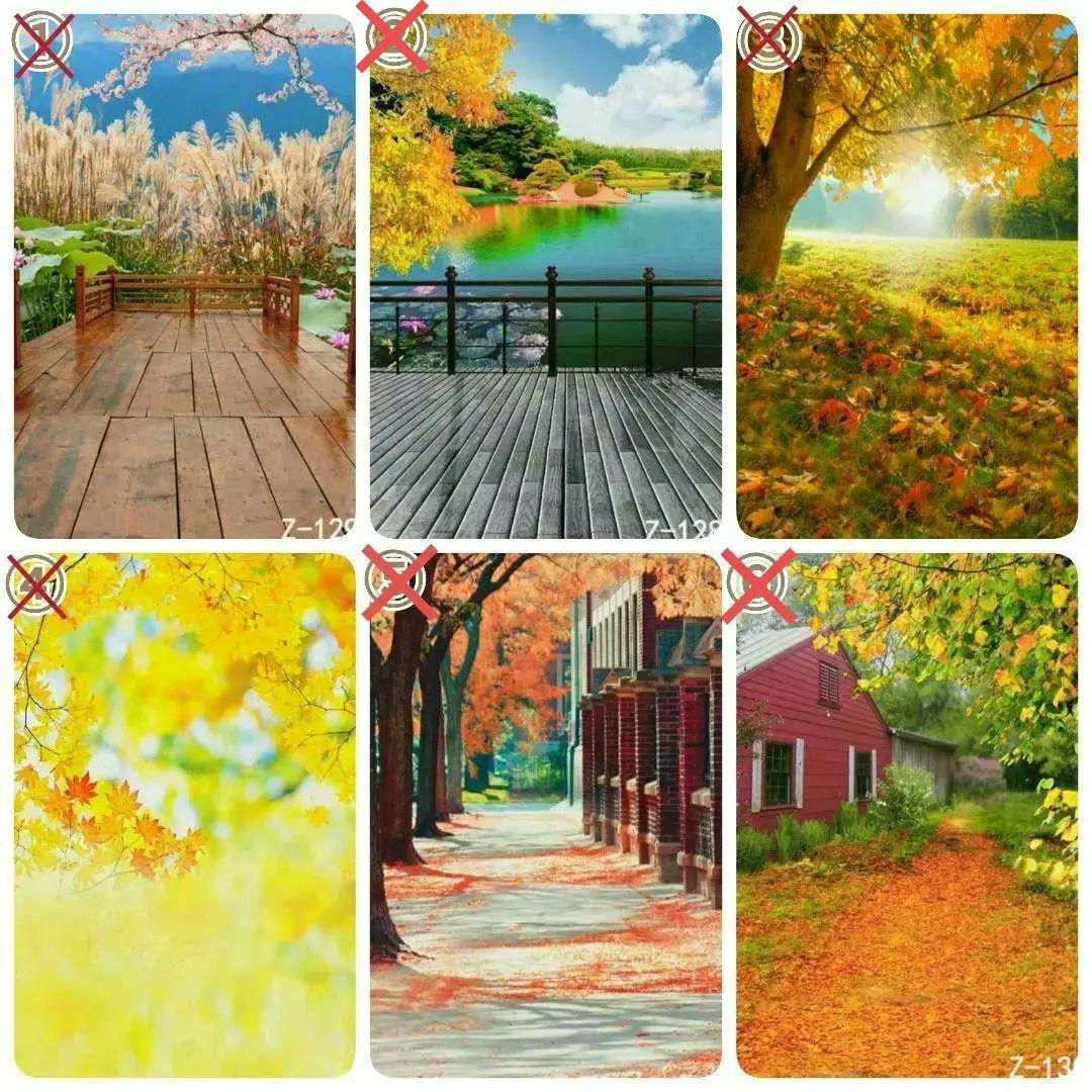 背景布　【　秋B　】　サンプル　ニューボーンフォトなどに♪