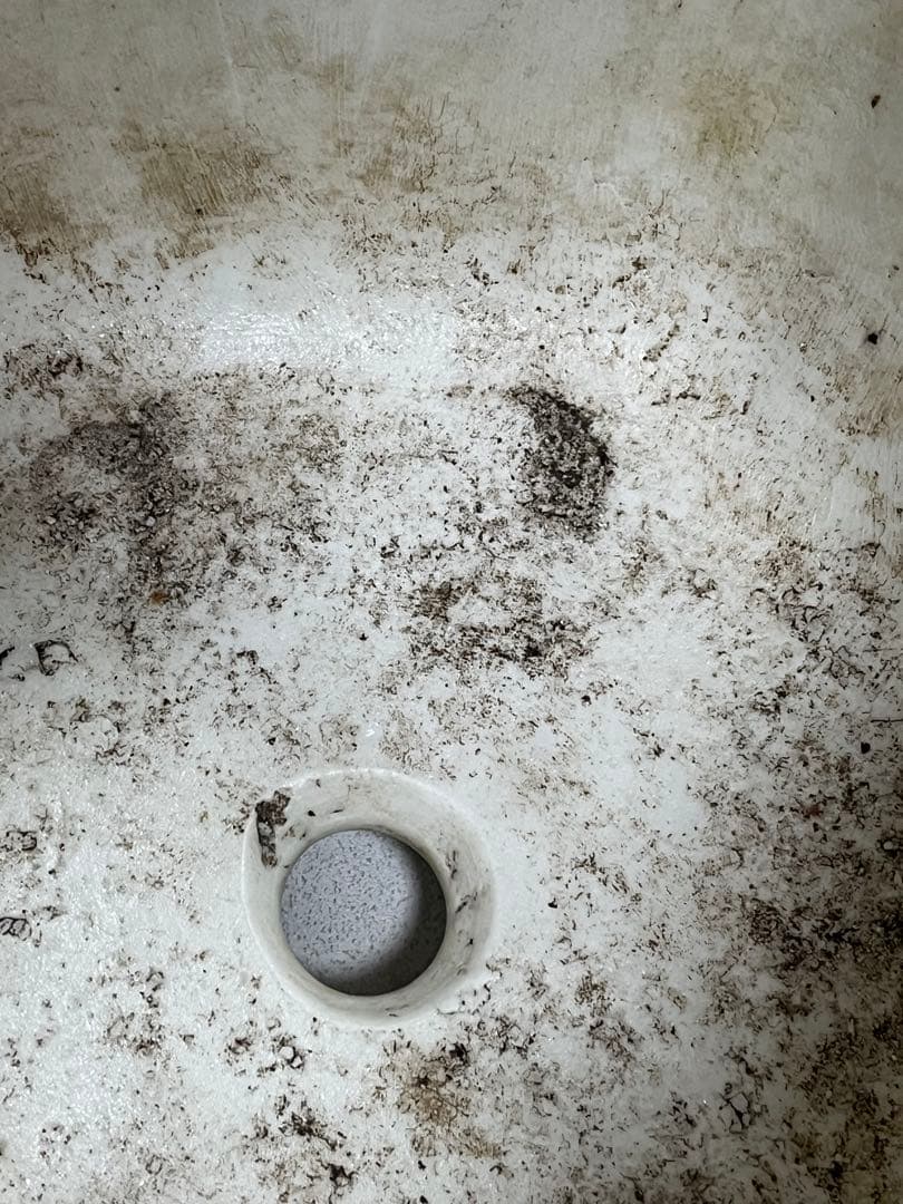 蘭鉢　盆栽鉢　植木鉢　陶芸　園芸　盆栽