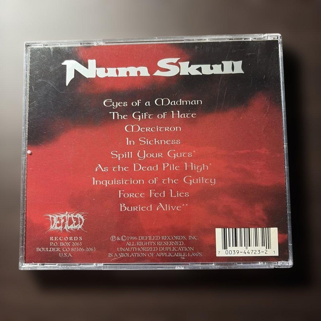 洋楽 Num skull/when suffering comes