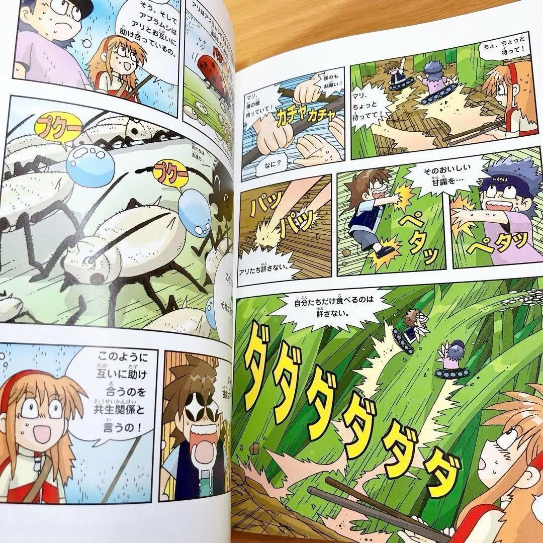 サバイバルシリーズ　25冊セット　かがくる