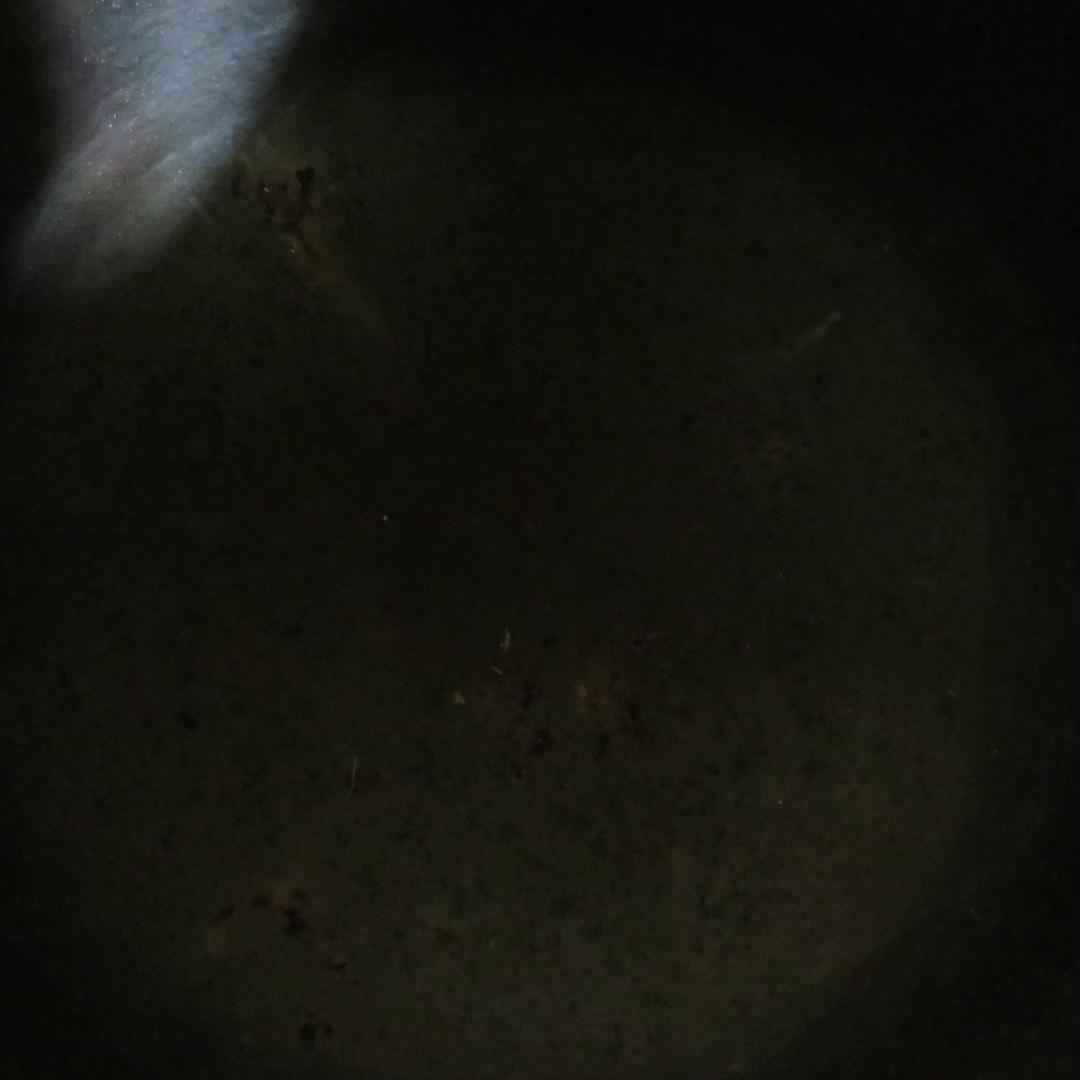 大釜 茶釜 大型 木箱 古芦屋釜 遠藤喜代志 彫金家 希少