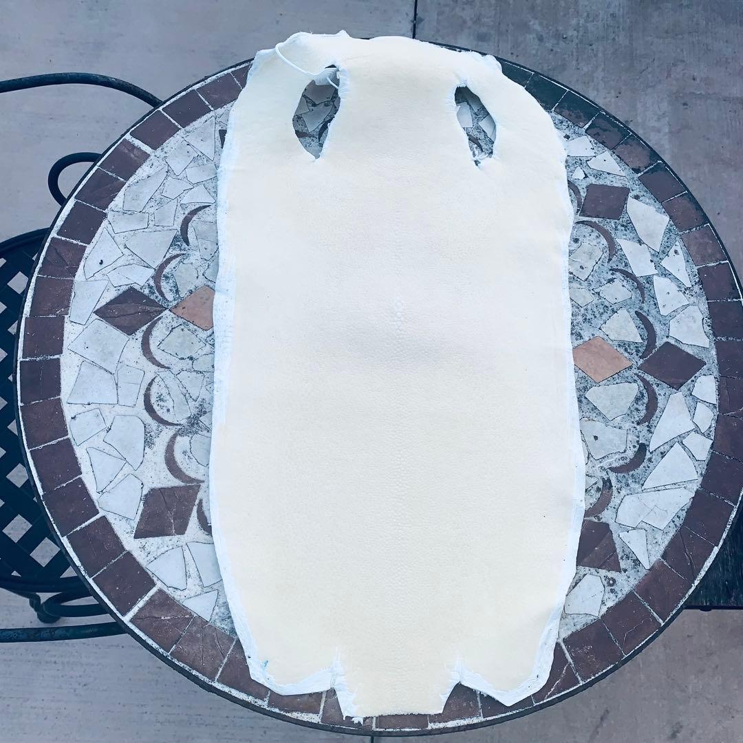 15) エイ革 鮫革 鮫皮 stingray ガルーシャ スティングレイ