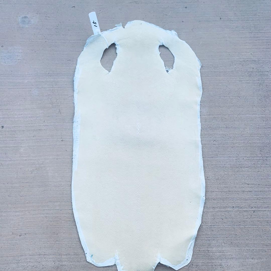 15) エイ革 鮫革 鮫皮 stingray ガルーシャ スティングレイ