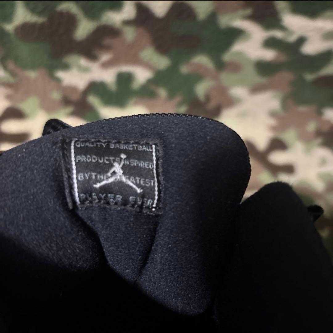 NIKE AIR JORDAN 11 JUBILEE 30cm 送料無料