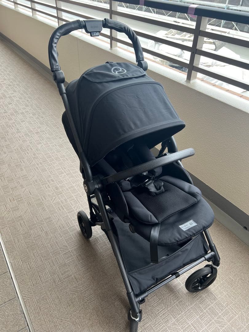 Pe_choco【引越しの為値下げ可能】  2024年 メリオカーボン