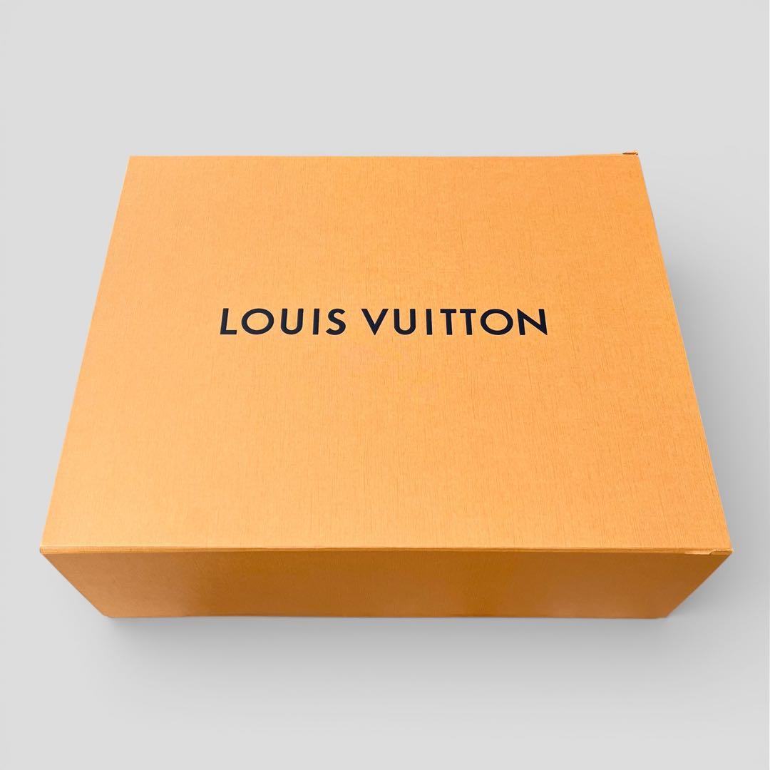 現行モデル 未使用品 ルイヴィトン クッション プラージュ LV グラフィカル