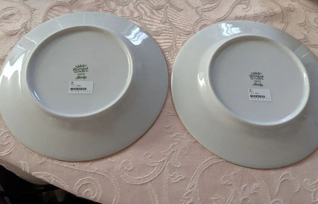 リチャード　ジノリ　インベロ　カメリア未使用二人用カップとケーキ皿