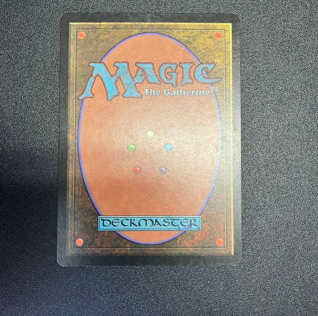 適者生存 日本語 MTG