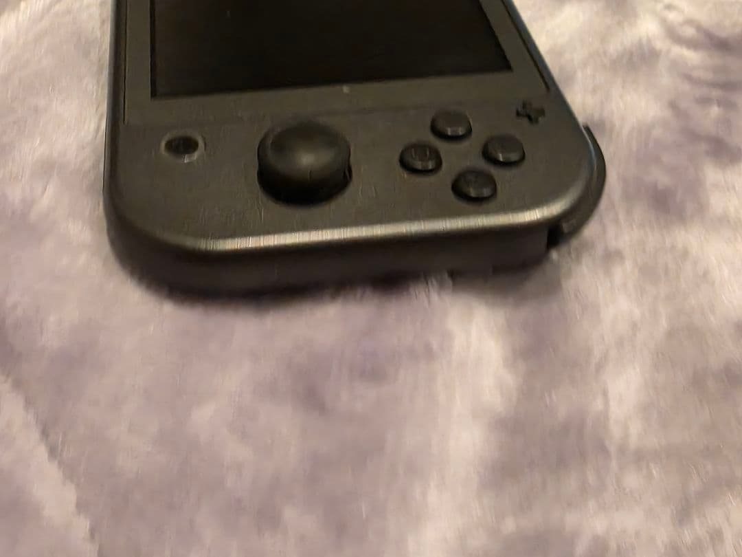 Switchライト ディアルガ・パルキア