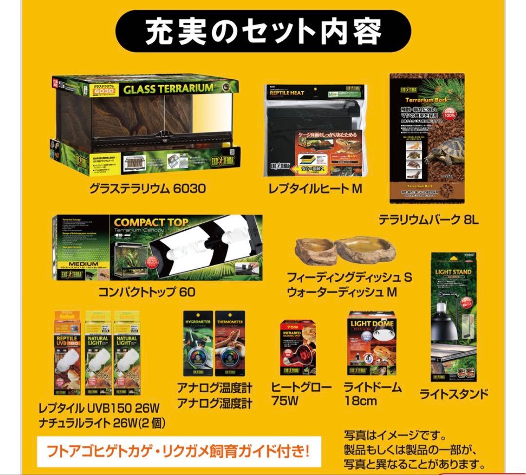 GLASS TERRARIUM 6030 飼育セット