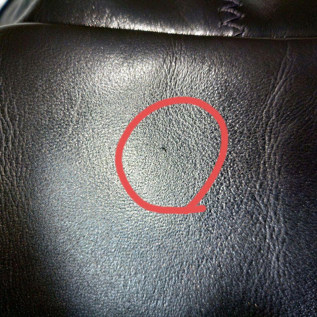 schott 689H 　ショット　シングルライダース　ホースハイド　サイズ36