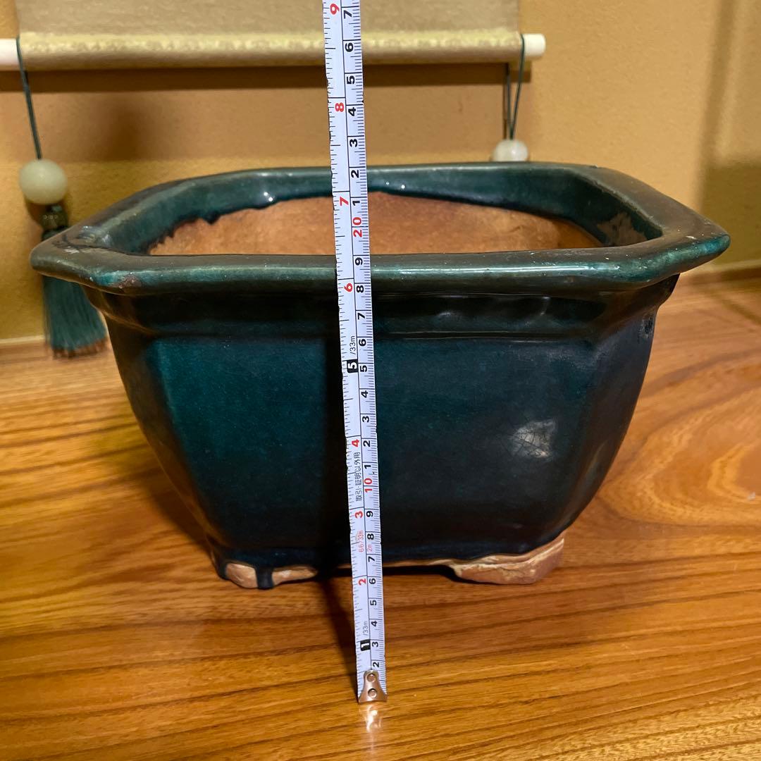 盆栽鉢 陶器製 八角形 釉薬 広東鉢 大型