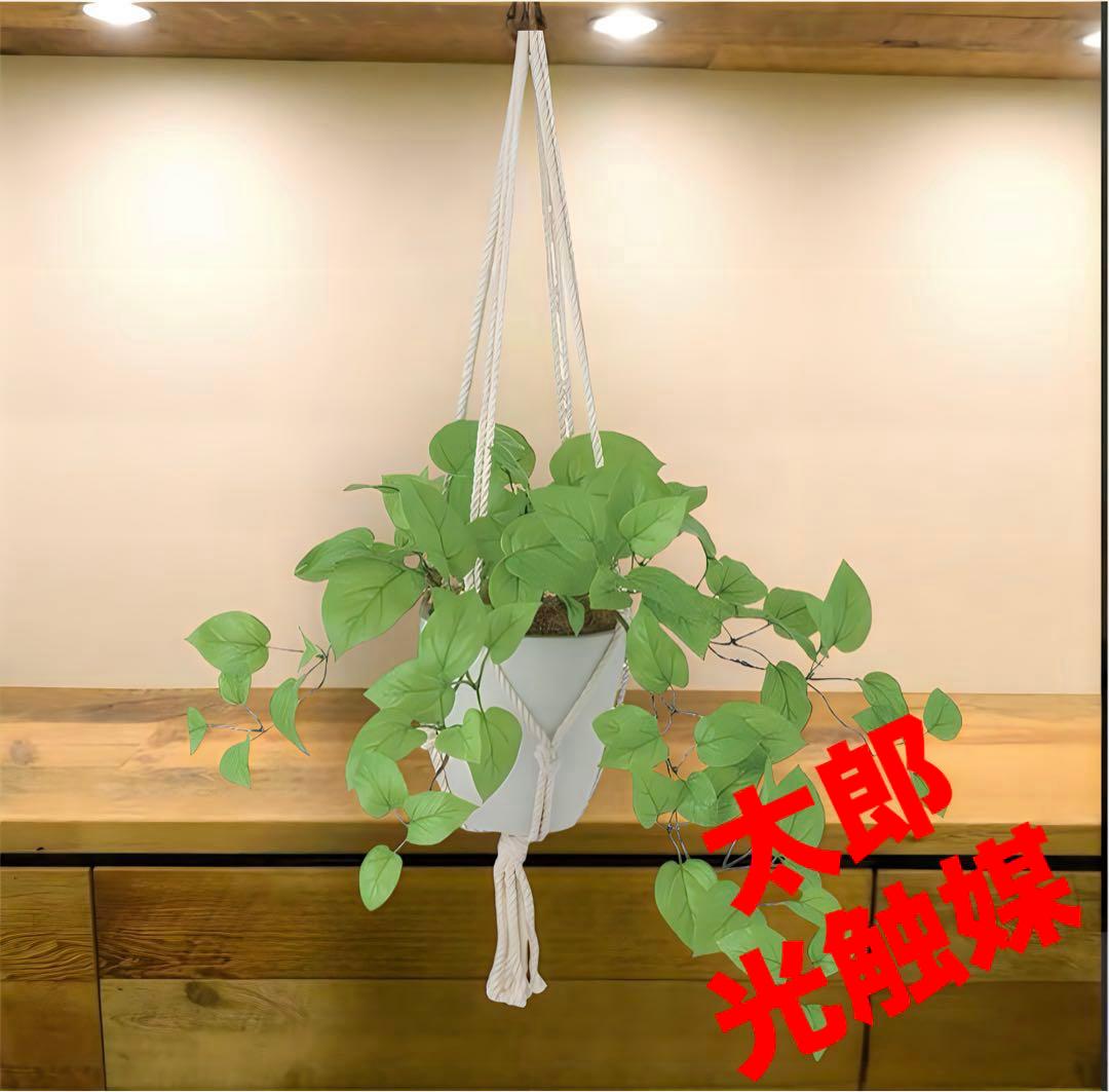 光触媒　人工観葉植物　ウォールグリーン　フェイクグリーン　壁掛けライムポトス
