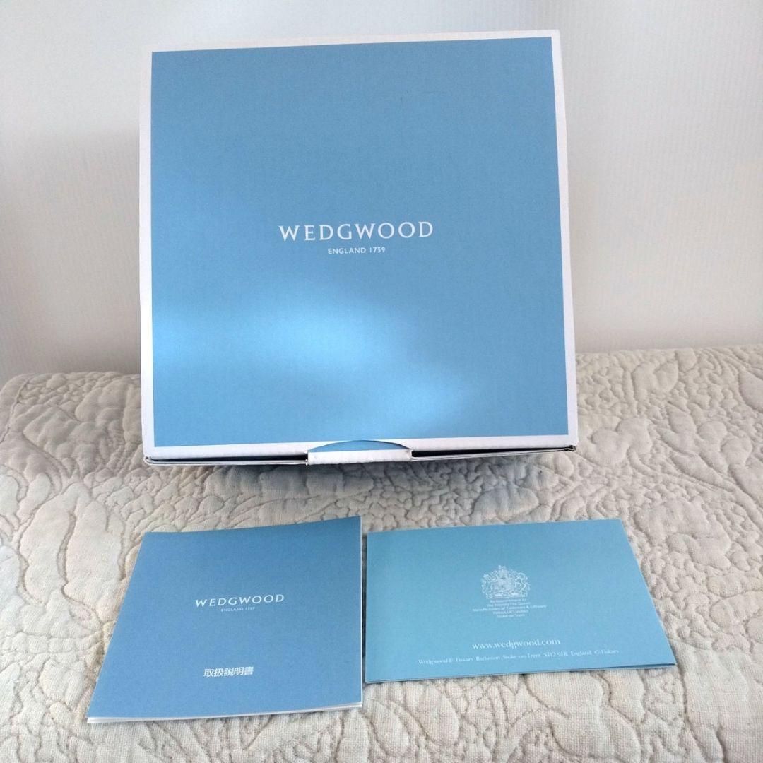 　ワイルドストロベリーカジュアル　 ボウル 2個セット