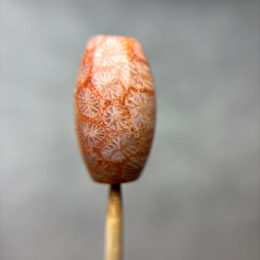 もんちゃんフォッシルコーラル　天珠　1-283