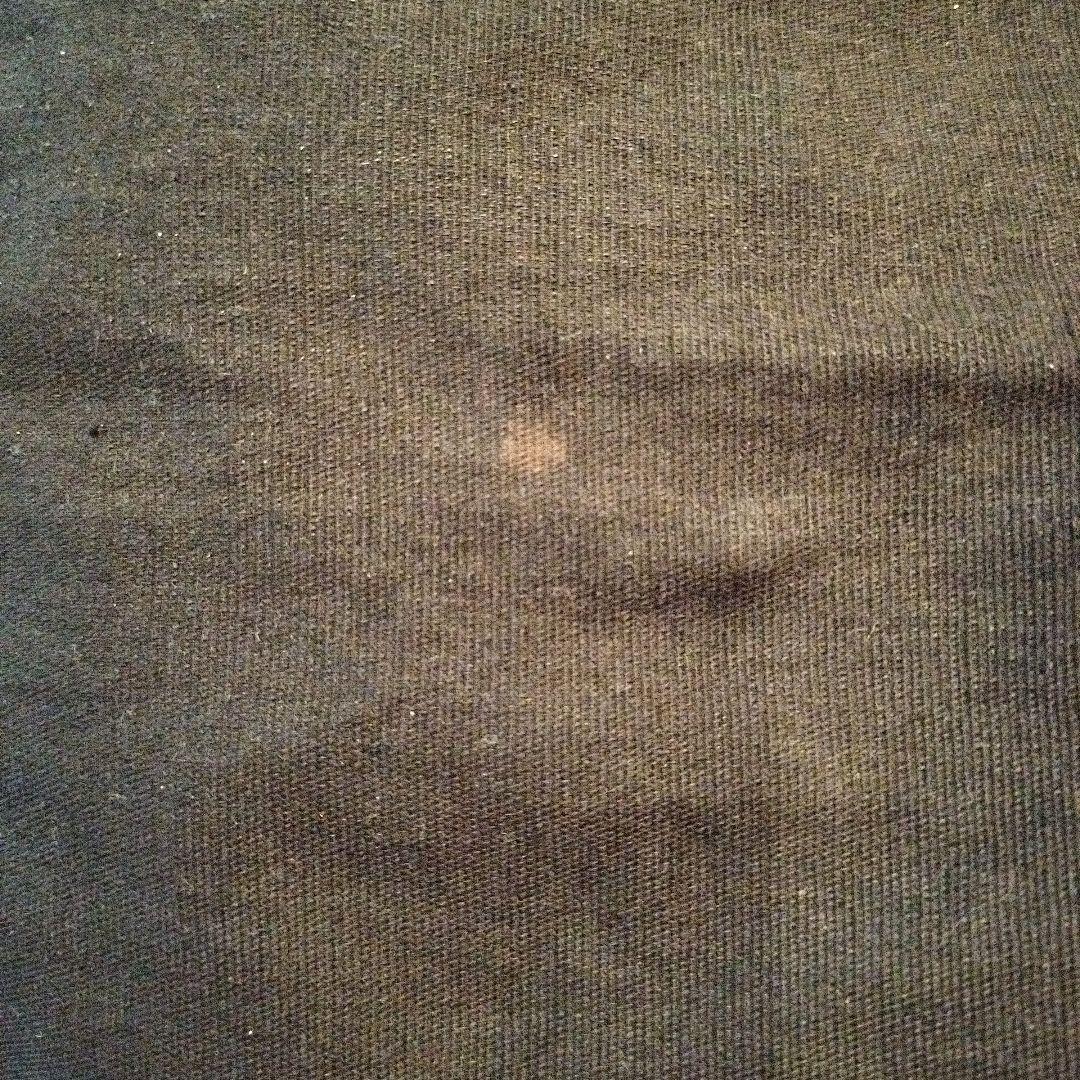 ヴィヴィアンウエストウッド　ショルダーバッグ　トートバッグ　キャンバス　オーヴ