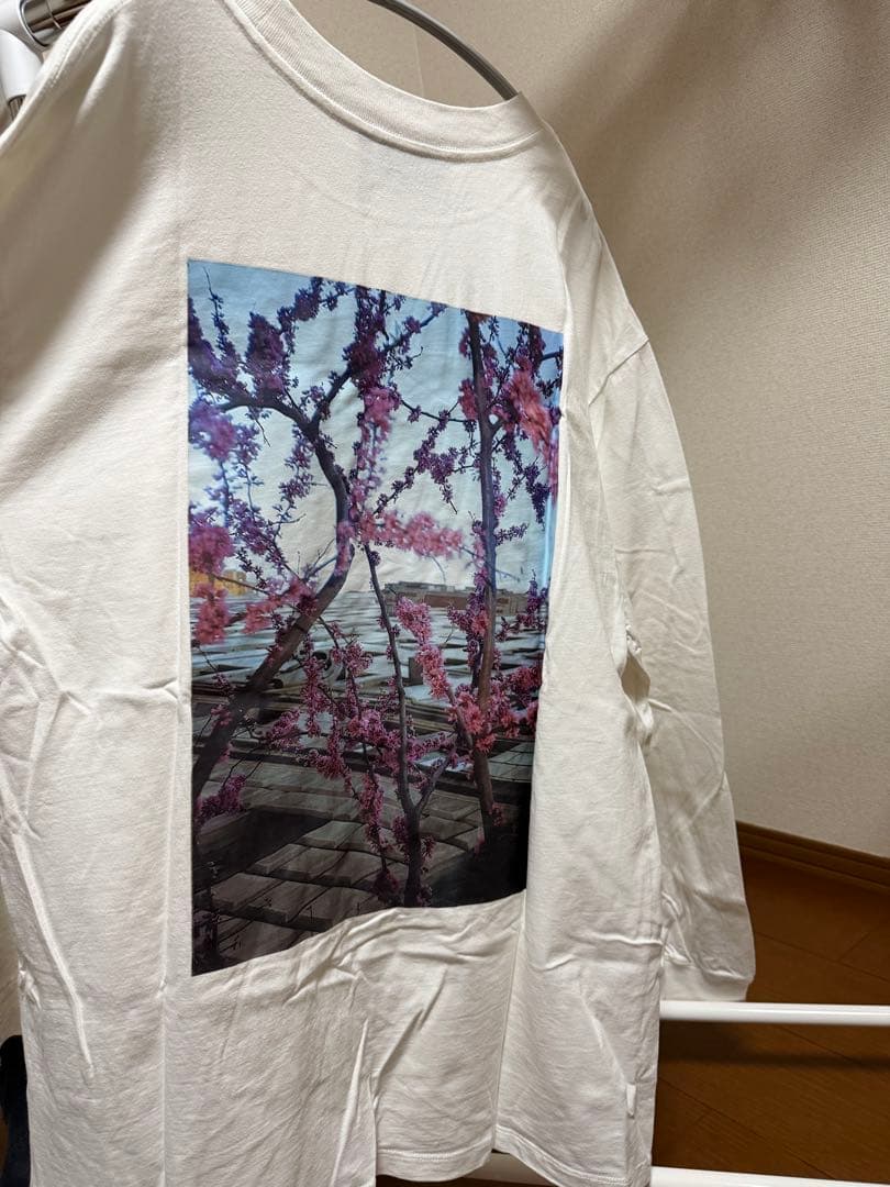 ちゃもまとめて4点セット