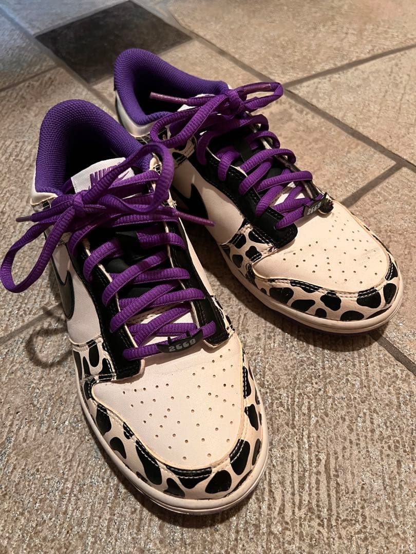 [美品・レア] NIKE 24.5cm DUNK LOW ナイキ 2009年限定