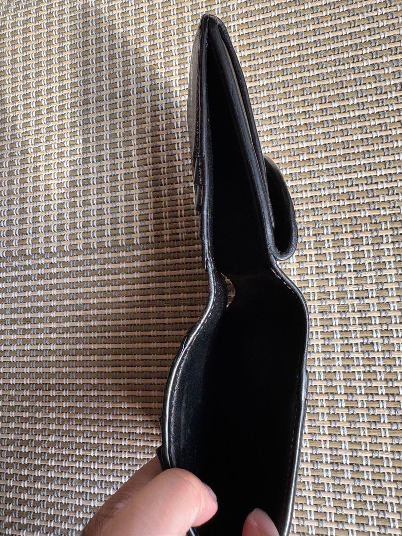 FRANTZ フランツ　WILDSWANS ワイルドスワンズ