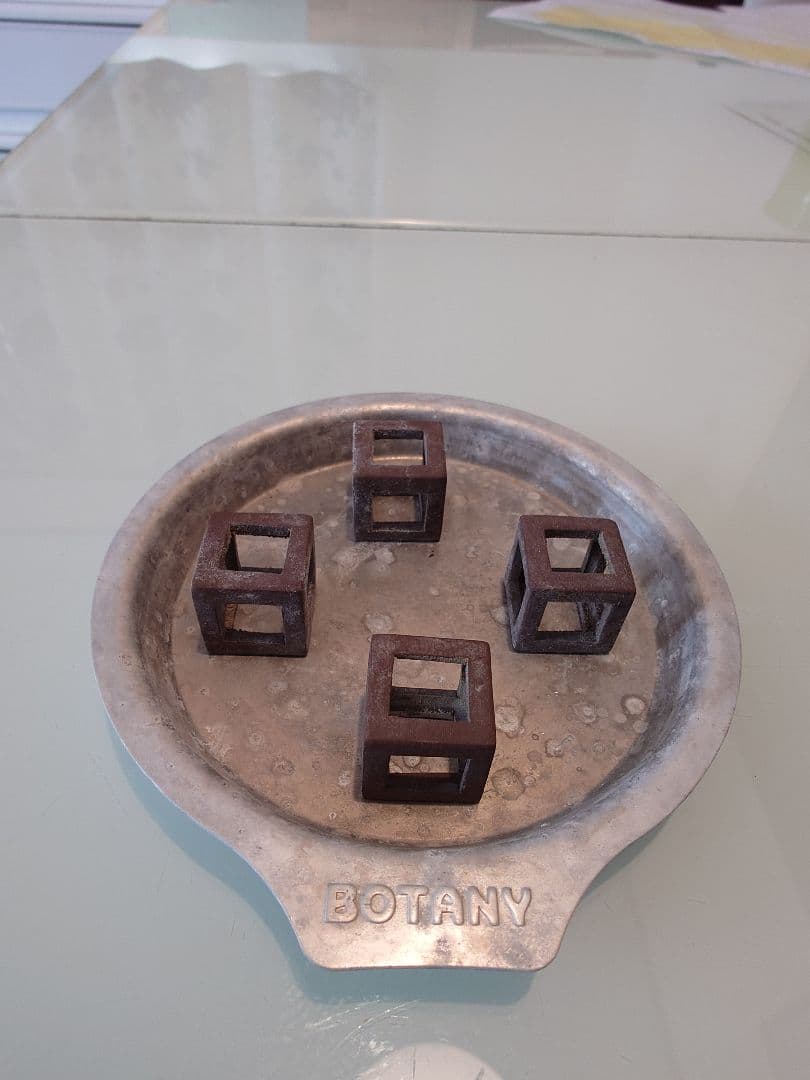 オペルクリカリア パキプス