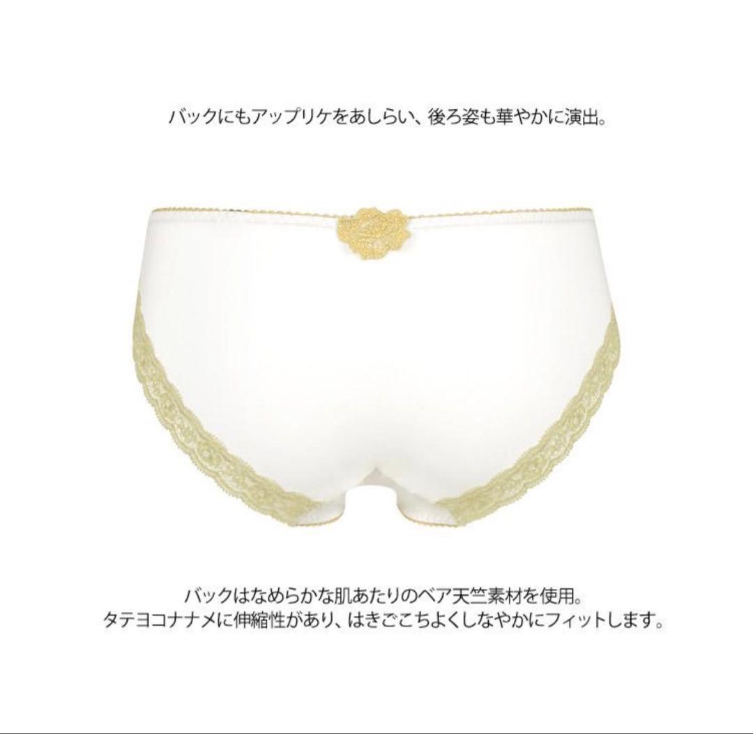 ワコール サルート 03G BTJ703 フロントエックスプラスブラ C70M