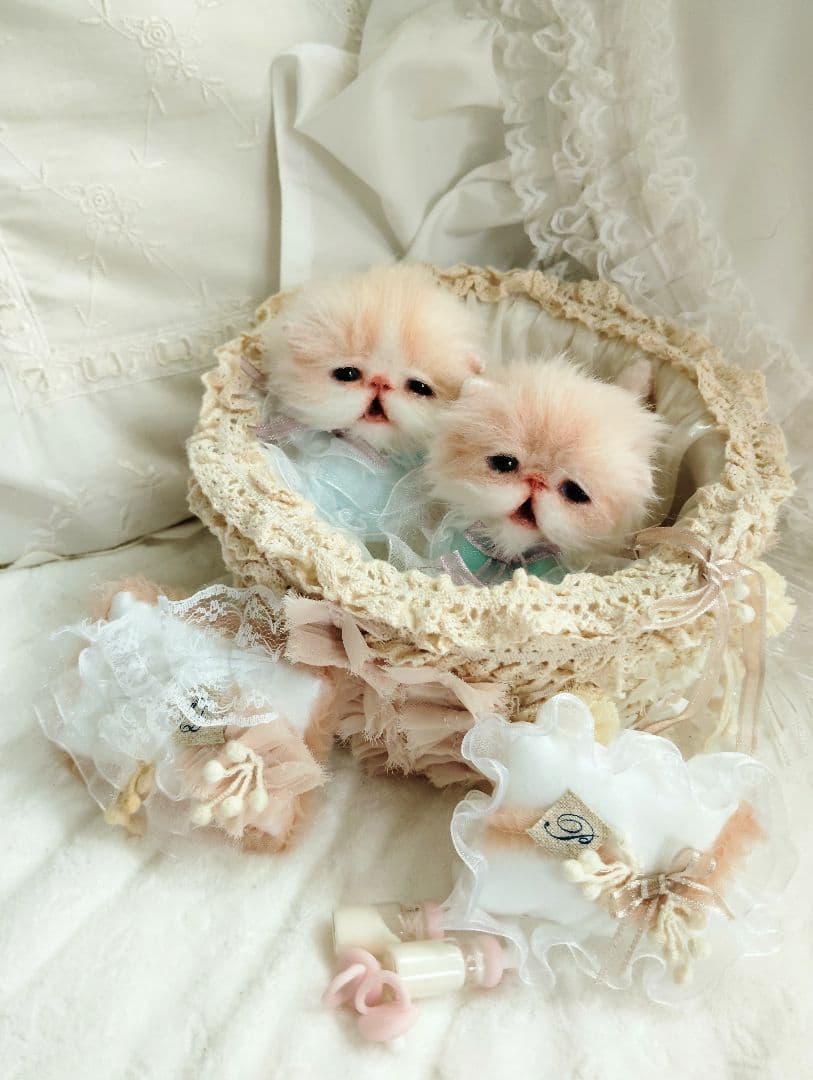 生後２週間♡双子子猫ちゃん♡お世話セット♡アートドール♡ぬいぐるみ♡