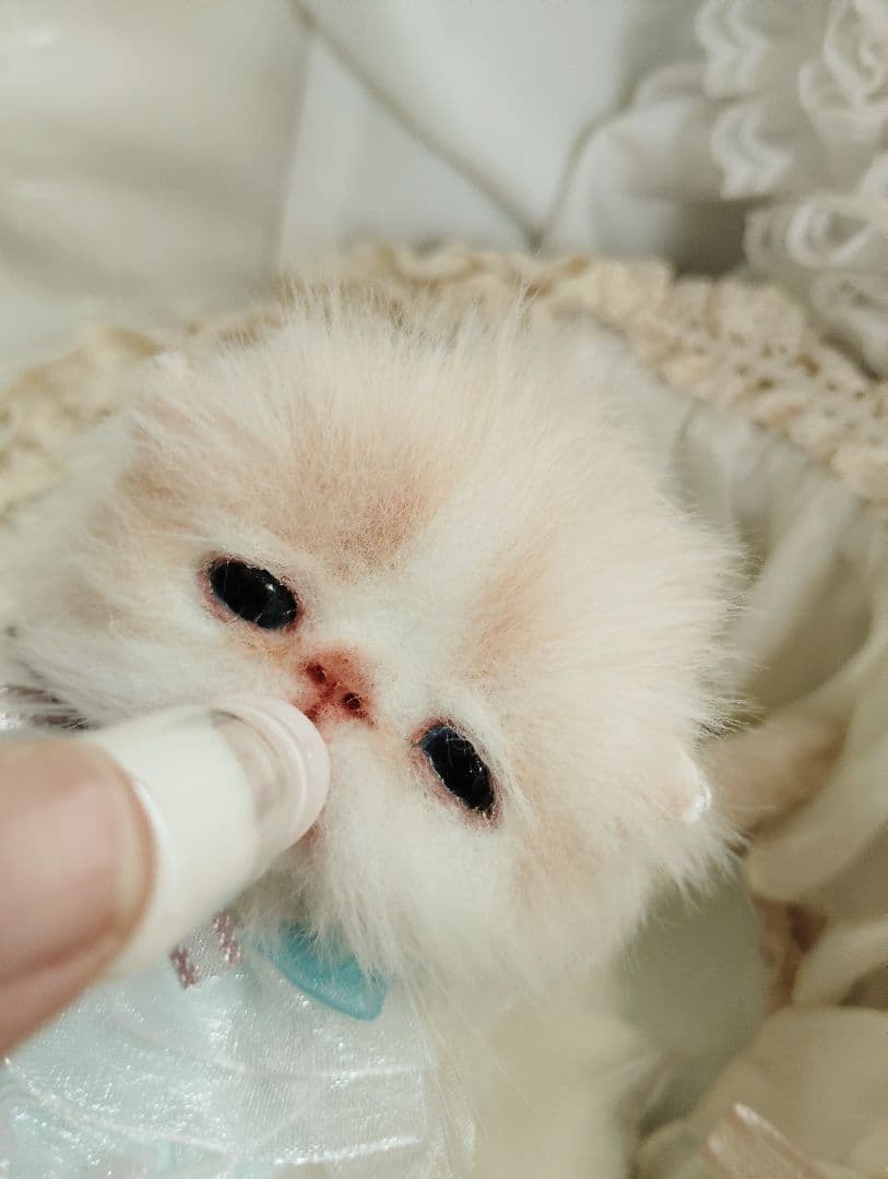 生後２週間♡双子子猫ちゃん♡お世話セット♡アートドール♡ぬいぐるみ♡