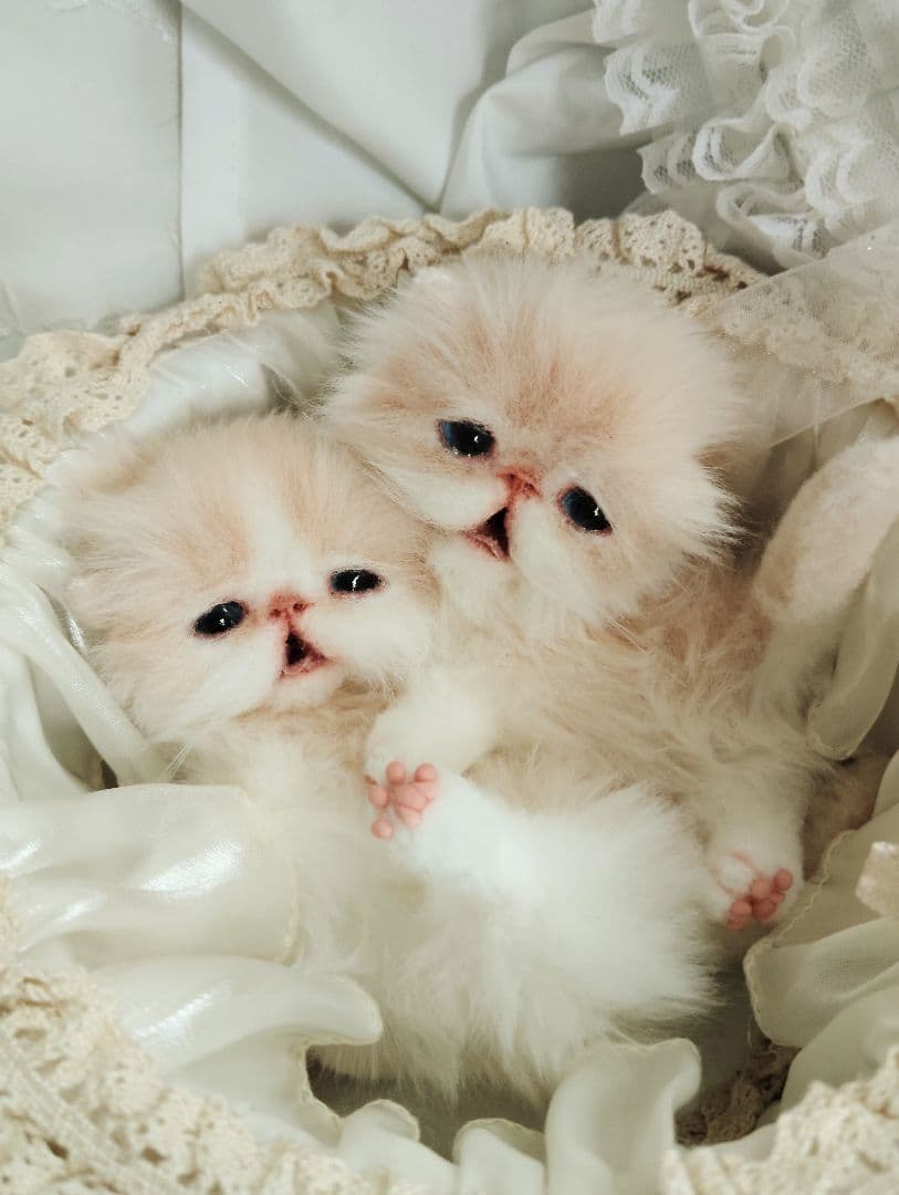 生後２週間♡双子子猫ちゃん♡お世話セット♡アートドール♡ぬいぐるみ♡