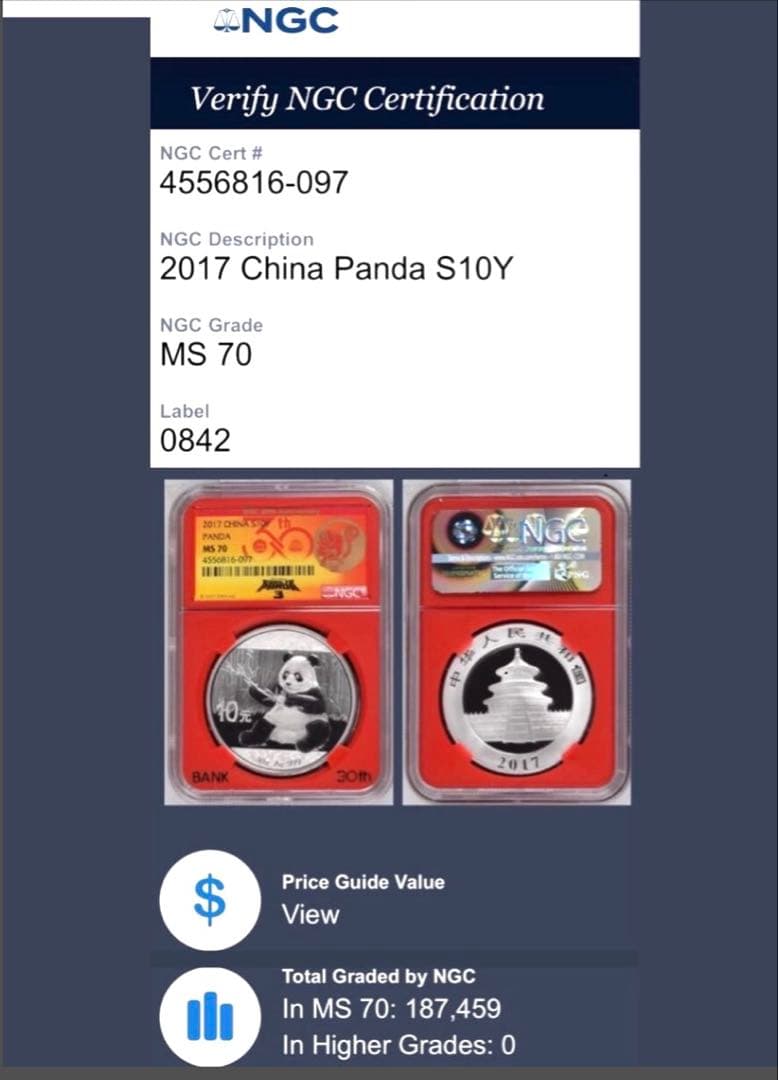 中国　パンダ銀貨　10元　2017年　NGC MS70 カンフーパンダ３