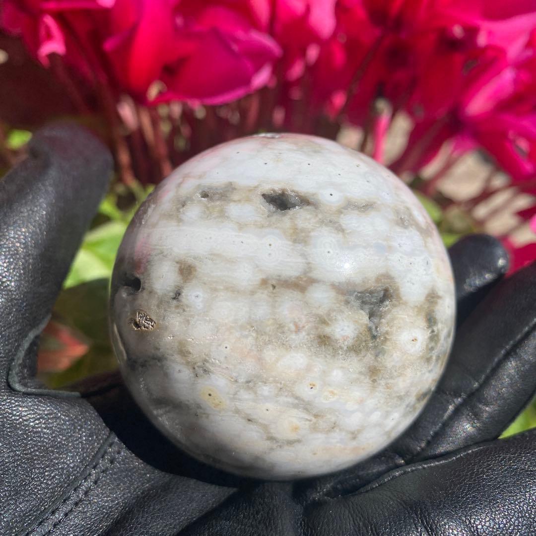 1個限定!! 8thveinジャスパー  エイスベインオーシャンジャスパー