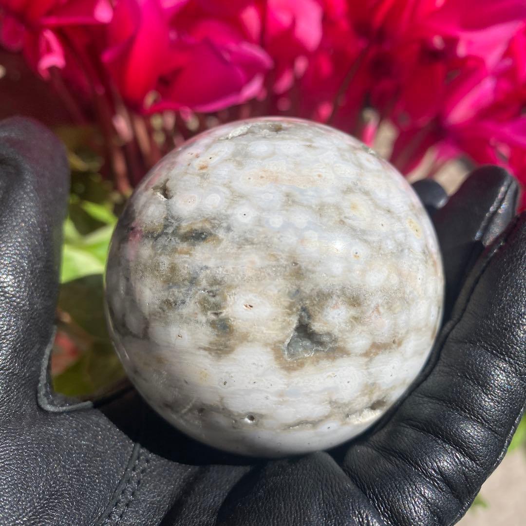 1個限定!! 8thveinジャスパー  エイスベインオーシャンジャスパー