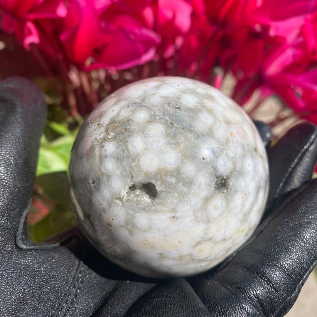 1個限定!! 8thveinジャスパー  エイスベインオーシャンジャスパー